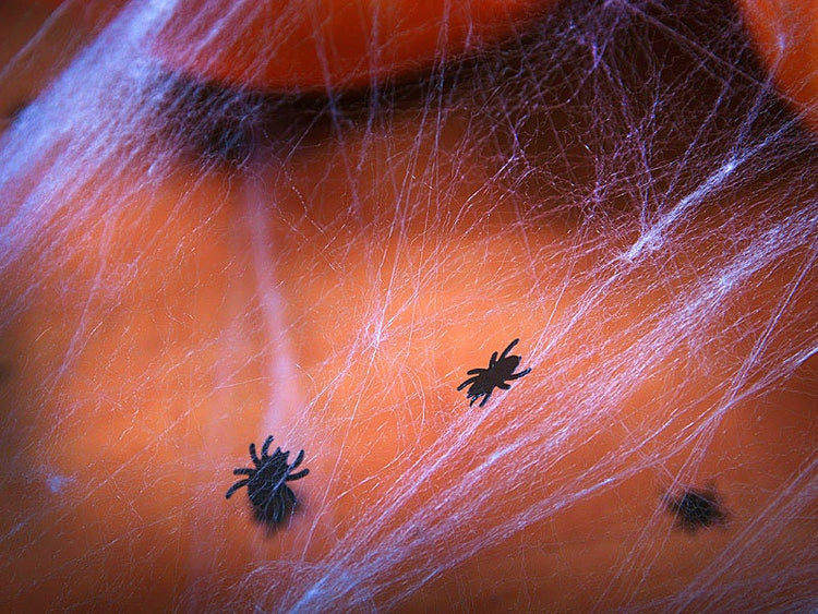Black Spider Party Confetti, Add the Perfect Touch of Fun to Your Halloween Party with These Die-Cut Spider Confetti, 15 Grams - Cohasset Party Supply