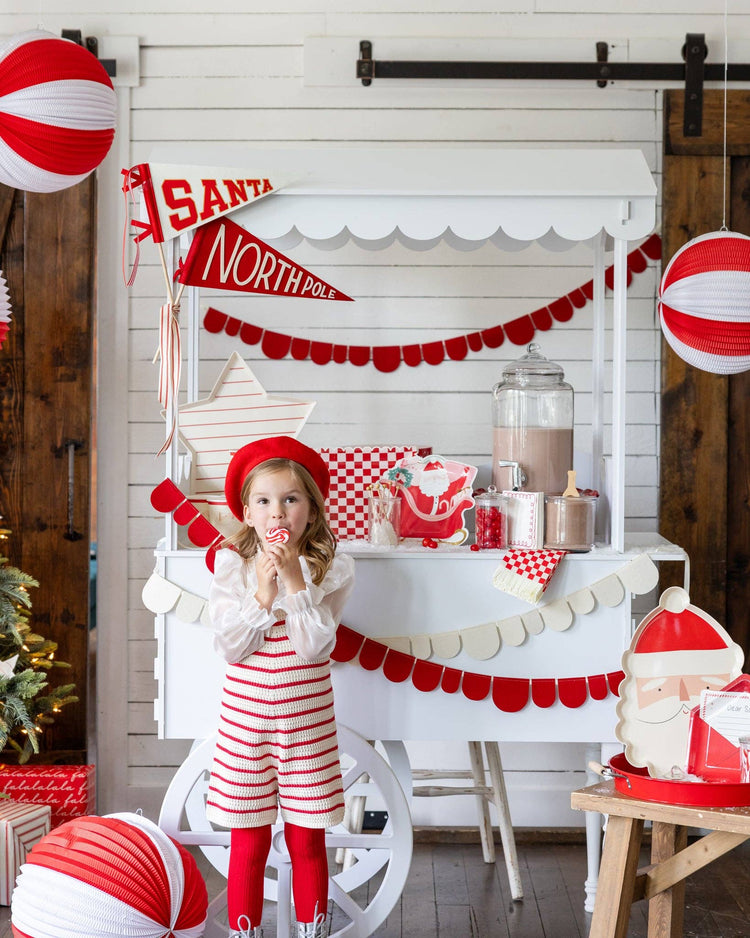 My Mind’s Eye - BEC1105 - Santa Felt Pennant Flag